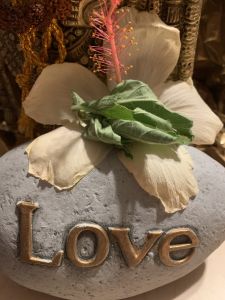 KAILASA-LATIN-AMERICA-2021-09-17-1mlL WwyudnaPQtun8KCPGF2LYdQa6cqw.jpg