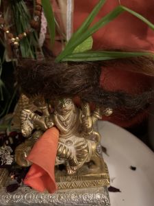 KAILASA-LATIN-AMERICA-2021-09-18-1zEWG6V6pEEc kDSwiXNphg4tbbjwdKDG.jpg