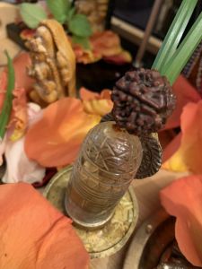 KAILASA-LATIN-AMERICA-2021-09-19-15F0tBAEkm7JbtYJN9KvfzJRlOAPUqk 6.jpg