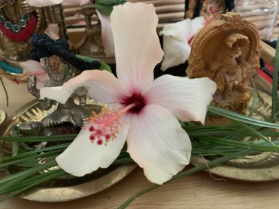 KAILASA-LATIN-AMERICA-2021-09-24-1GLp8dmesDFlqxsf-QPjQhPFng9xhmP t.jpg