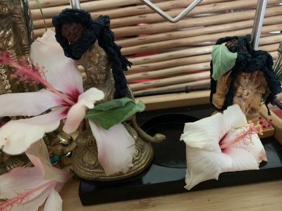 KAILASA-LATIN-AMERICA-2021-09-24-1b3b4EuqRy kmZWrIQ rEEVMndQloiS30.jpg