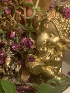 KAILASA-LATIN-AMERICA-2021-11-03-1KAjhDufywb85IxmyzQKKjUVWNjze ML3.jpg