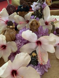 KAILASA-LATIN-AMERICA-2023-08-03-1OiPusEq-YSIoJXF SOj0O3rycL7fa2q0.jpg