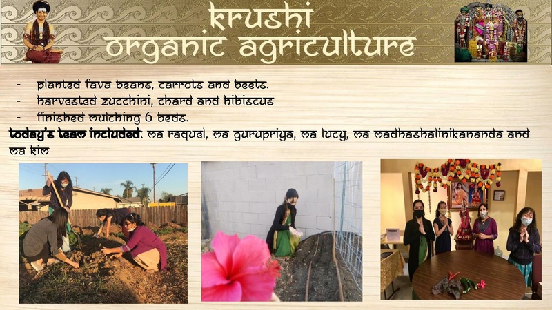 File:KAILASA-LOS-ANGELES--USA-2020-12-27-1vMuNNomExgl8eCn32skBMYAxb35cazBT.pdf