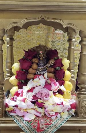 KAILASA-LOS-ANGELES--USA-2022-04-24-17apsXpmOw0AHLwNYjxkwHfHHrDBk yca.jpg