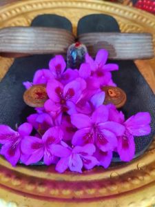 KAILASA-MELBOURNE--AUSTRALIA-2022-01-26-1IWxE8Qcehf1X n2SWTk53 l P9Fj-7Xs.jpg