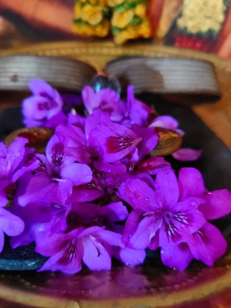 File:KAILASA-MELBOURNE--AUSTRALIA-2022-01-27-1KeqCn0UpQyY gNaEH0uHiX36ZUn2qAUb.jpg