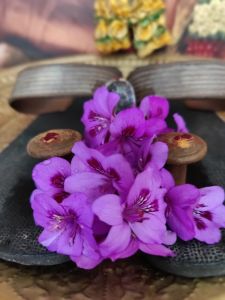 KAILASA-MELBOURNE--AUSTRALIA-2022-02-05-1a3M790tbD-oqQ5qJ DfNvzMncZt4Q66O.jpg