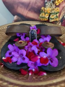 KAILASA-MELBOURNE--AUSTRALIA-2022-02-19-1RMAqVq7u kytU C1QG39TK9MotmYCmeZ.jpg