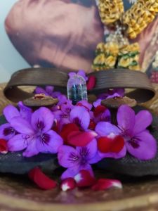 KAILASA-MELBOURNE--AUSTRALIA-2022-02-19-1t3iUwTYw9p1ZUsZ9WJSWlt9c C8JMbW9.jpg