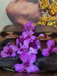 KAILASA-MELBOURNE--AUSTRALIA-2022-02-20-164N8Ri2nKXocOlnHI8FIkR7h5WW OAlq.jpg