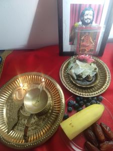 KAILASA-NEW-HYDE-PARK--USA-2020-12-24-16Vhna k8Bp0mKJMffjXkah9cQIKqOAK.jpg