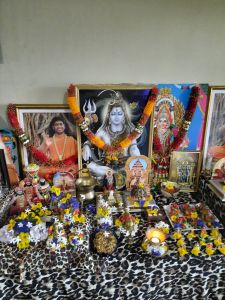 KAILASA-SAN-FERNANDO--TRINIDAD-&-TOBAGO-2021-11-01-1b6AwK6qRp-3rY36jvItFjzJAxuRIPBuu.jpg