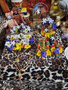 KAILASA-SAN-FERNANDO--TRINIDAD-&-TOBAGO-2021-12-13-1K0WhoByJGQXsFTP6Gi b2vfh bNefx-b.jpg