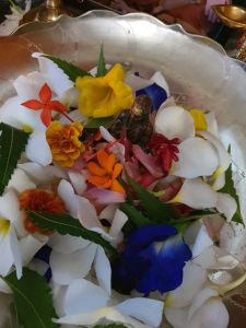 KAILASA-SAN-FERNANDO--TRINIDAD-&-TOBAGO-2022-01-16-1XzwFDLh rYU4a3CjcewkRFSQkj5oeCsh.jpg