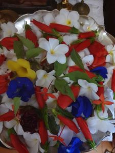 KAILASA-SAN-FERNANDO--TRINIDAD-&-TOBAGO-2022-02-27-1SB1HTfmvOp-2UUhowxDLarpEpHIhv pi.jpg