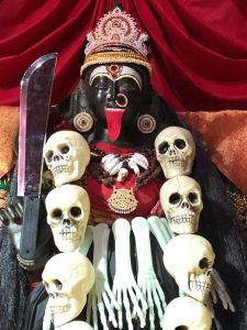 KAILASA-SAN-JOSE--USA-2020-11-14-1JA42mq07xcWhiRBQ5WGH 8WNRM1f61Dx.jpg