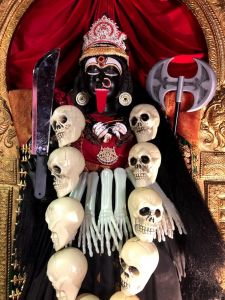 KAILASA-SAN-JOSE--USA-2020-11-14-1LRm5zhnSFhzJ3iAyceVlMZQ6uZo JnHt.jpg