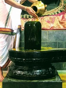 KAILASA-SAN-JOSE--USA-2021-03-11-1uAYHtNU mGRppY48BuMYh6kZ6vaXcnfJ.jpg