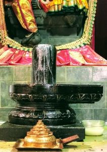 KAILASA-SAN-JOSE--USA-2021-03-11-1xb-Z8DAY8fYkZzI6Ijw LpiC9hHhah57.jpg