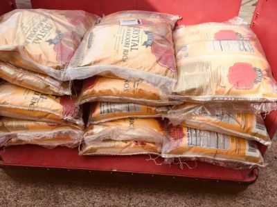 KAILASA-SAN-JOSE--USA-2021-03-17-1k8 TloRVLMgWr-qQyPFlabDOrJeFr2dD.jpg