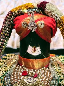 KAILASA-SAN-JOSE--USA-2022-01-16-1g6Vj3mJ2dkR htk6Eq6oPzF k2KHnlu4.jpg