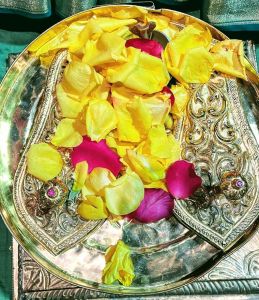 KAILASA-SAN-JOSE--USA-2022-01-26-1lvECJs3YxNOgWY4ax 2-9gVU7NAPJ7AD.jpg