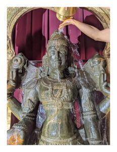 KAILASA-SAN-JOSE--USA-2022-02-12-16nNaHWI-Nzcs h6VgyL8AZodwm 5pYhU.jpg