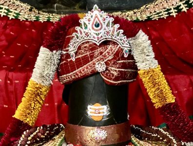 KAILASA-SAN-JOSE--USA-2022-02-18-1EbL XvbdLllB le8koBpTNJkoFObg1d7.jpg