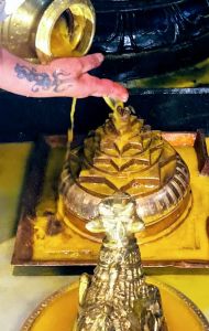 KAILASA-SAN-JOSE--USA-2022-02-20-1C0vZbkJOiwKyVDn3K03x zbJexVZ6oxp.jpg