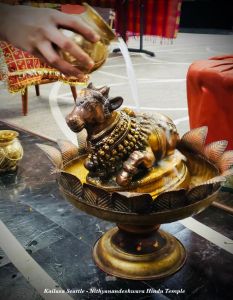 KAILASA-SEATTLE--USA-2020-11-27-1lm NMjoeyhWTzzV86aNH2 iGd9Ah-baI.jpg