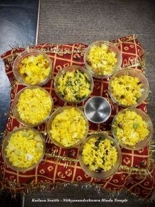 KAILASA-SEATTLE--USA-2020-12-01-1a8IRHXA12CKXQI8hl0U 96X3JaogkHbf.jpg