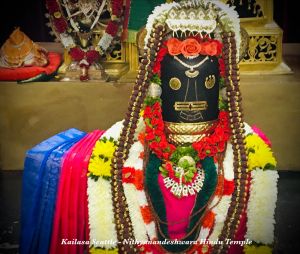 KAILASA-SEATTLE--USA-2020-12-05-1n-nMrzVY 5YIiwLzLWTVSX3rocA6Ocw2.jpg