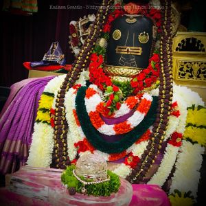 KAILASA-SEATTLE--USA-2020-12-12-1i hrI PiVdB0J461KL5kPL7l1oF7uO-3.jpg