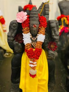 KAILASA-SEATTLE--USA-2020-12-19-1CoqUucclje5FXZKoihpg3N ADWxQohlE.jpg