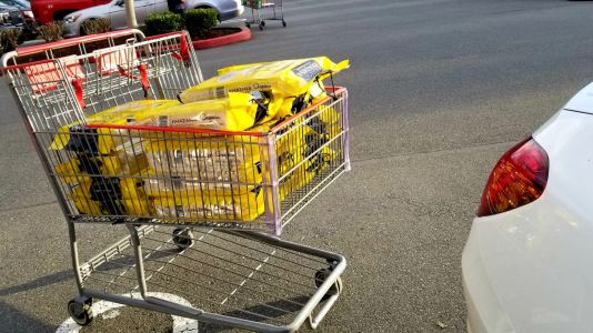 KAILASA-SEATTLE--USA-2021-03-23-1nTtr0njSxYxNfhTy 0mv2LqwwDsqHR1g.jpg