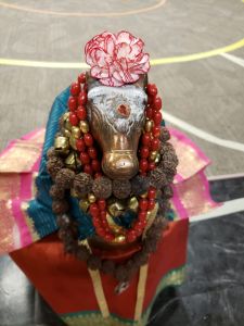 KAILASA-SEATTLE--USA-2021-03-26-1FEj0yKHd11oCwYzJITor 7K-d3KrSPSD.jpg