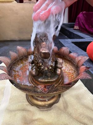KAILASA-SEATTLE--USA-2021-09-17-1XJNnloT37EHH8tMjjnVXObz-2PmrWTh8.jpg