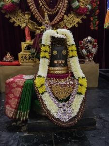 KAILASA-SEATTLE--USA-2021-09-25-1y49YkvOA8JQTH7klU1Q2ncrJPW00jNhz.jpg