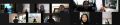 Thumbnail for version as of 15:31, 3 February 2022