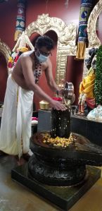 KAILASA-TORONTO--CANADA-2021-03-11-1mIQW3JMHZv --3mqNlc29-1SZN-MZGpS.jpg