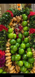 KAILASA-TORONTO--CANADA-2021-11-26-18w2Gj2SQQtH38yqfUc5peYI6NMOeKC v.jpg