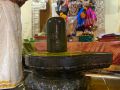 Thumbnail for version as of 22:49, 7 March 2022