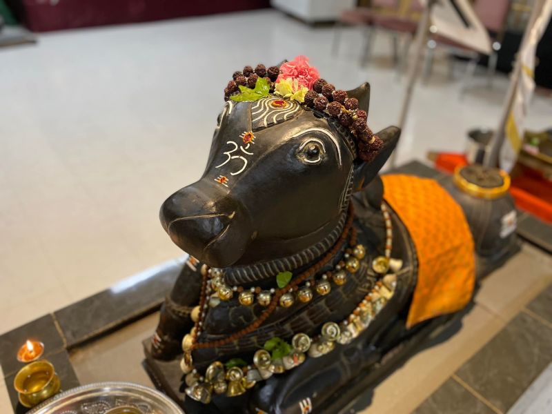 File:KAILASA-TORONTO--CANADA-2022-04-27-1HNq7E1r11Gwr1h1N2PBNDE9JZjsjO2 k.jpg