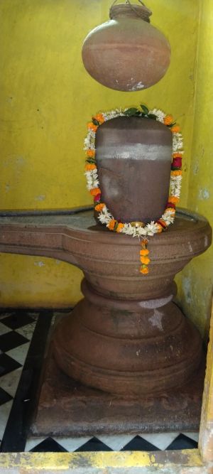 KAILASA India UP Kashi 221001-2022-01-02-1KeZR8kVbUe2sTJRC2Am1aaqOjD v2fwq.jpg