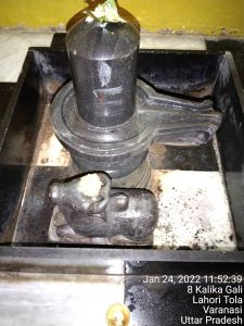 KAILASA India Uttar-Pradesh Kashi 221001-2022-01-24-1uSxX3DNYS-YdtHahMuq-frI9GK5ITrAK.jpg