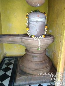 KAILASA India Uttar-Pradesh Kashi 221001-2022-01-28-1e-Idk1s77eSsR8jeSyd1FiOxRGRYw0Wr.jpg