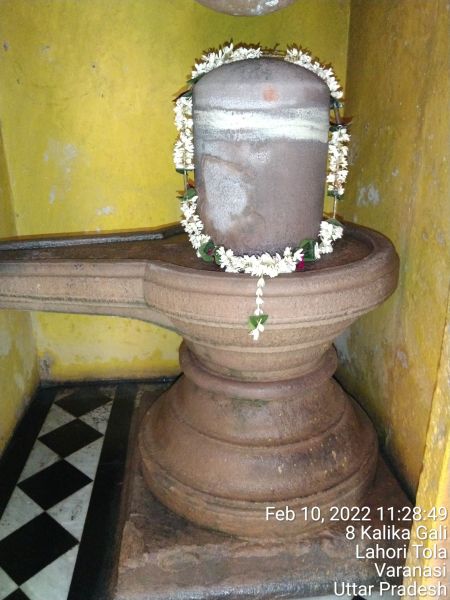 File:KAILASA India Uttar-Pradesh Kashi 221001-2022-02-10-102vGQKVa6RGgJurT8ef8EK52vhGrr1fY.jpg