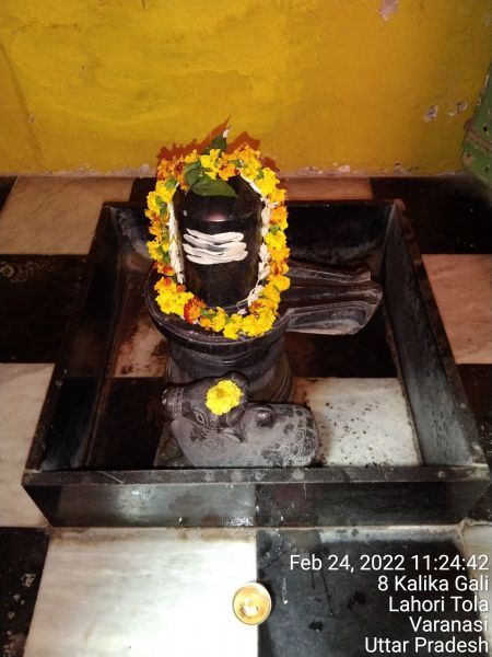 File:KAILASA India Uttar-Pradesh Kashi 221001-2022-02-24-1b4cw6KQ72kmzaHcFQm6LYokJWOjFhW5H.jpg