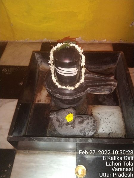 File:KASHI-SARVAJNAPEETAM-2022-02-27-1Ka67y57YvmdMGMUP6JVzvovfuUfsrCre.jpg